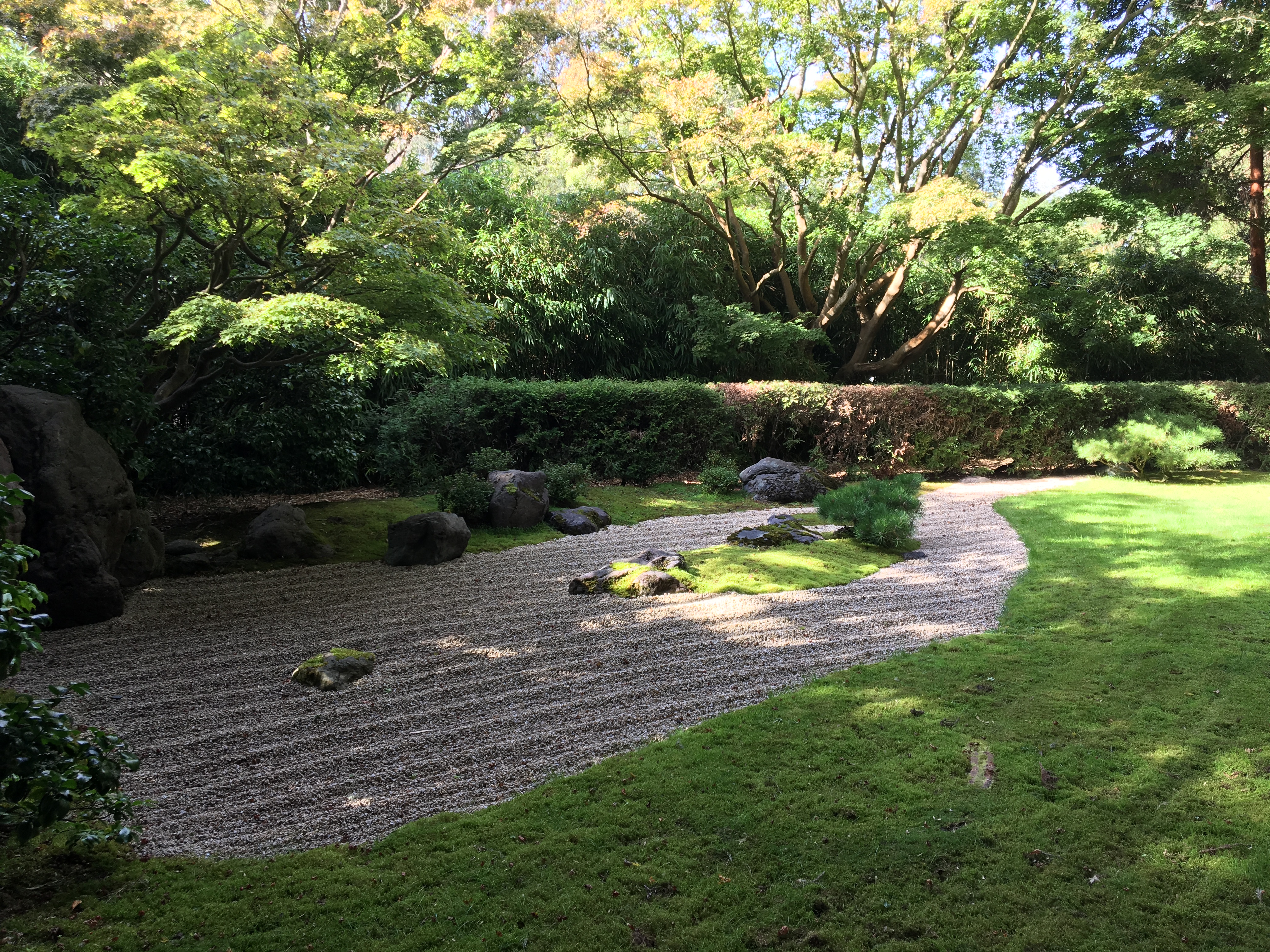 SF garden