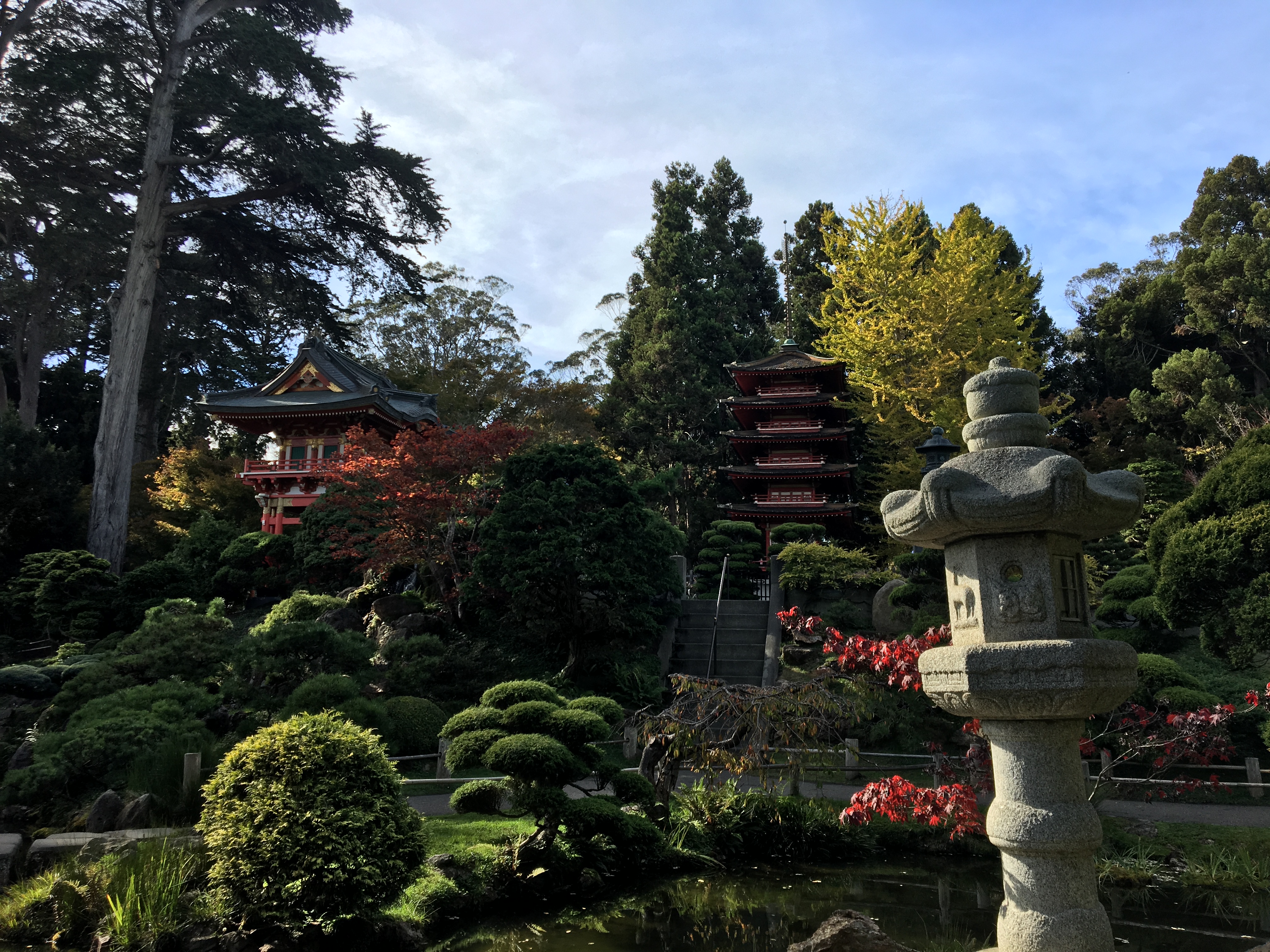 SF garden