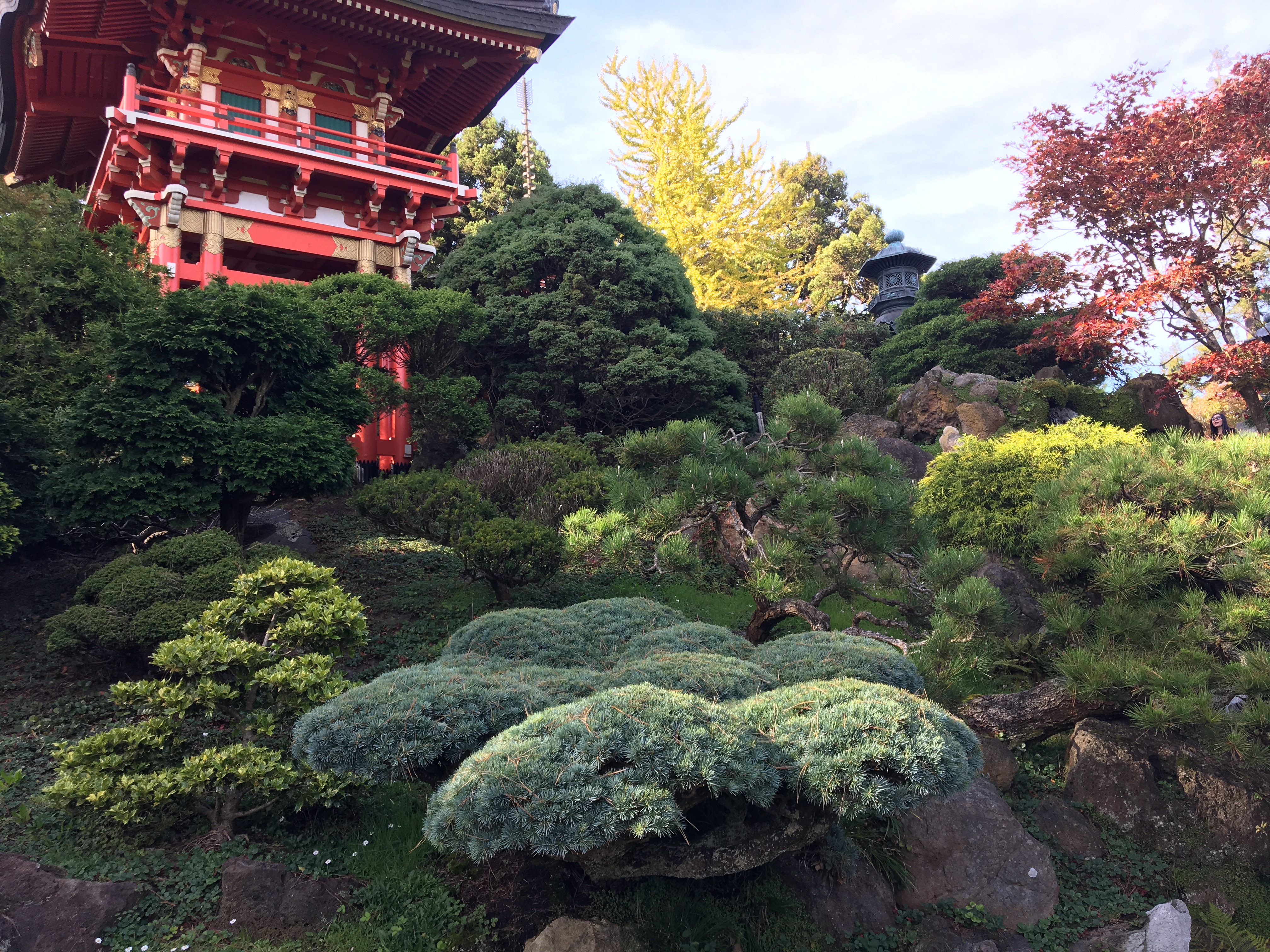 SF garden